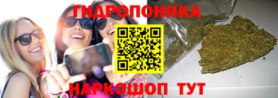 твердый Нальчик