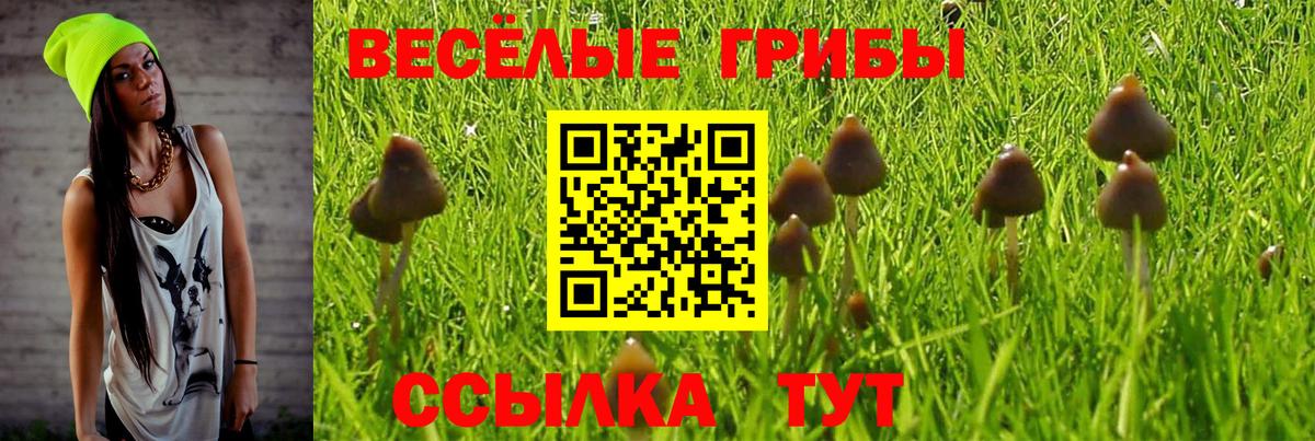 Псилоцибиновые грибы MAGIC MUSHROOMS Белово